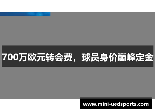 700万欧元转会费，球员身价巅峰定金