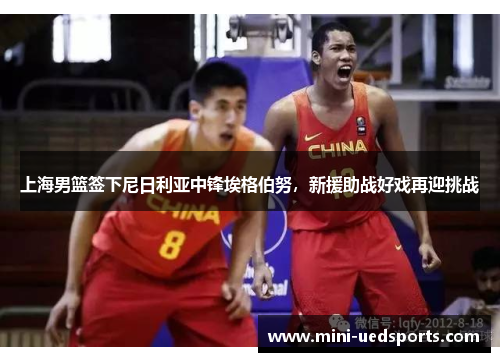 上海男篮签下尼日利亚中锋埃格伯努，新援助战好戏再迎挑战