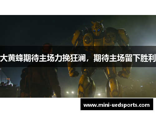 大黄蜂期待主场力挽狂澜,期待主场留下胜利